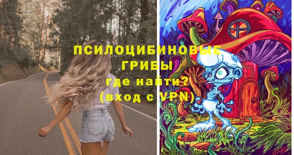 крисы Абдулино