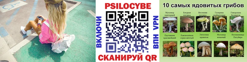 Галлюциногенные грибы Psilocybe  Болотное 